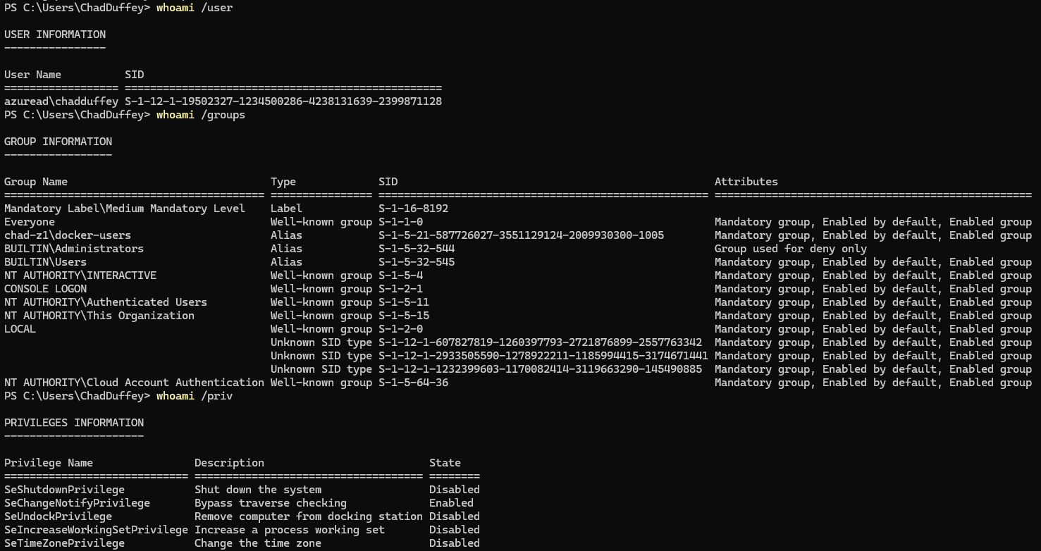 whoami output for user, groups, and privileges
